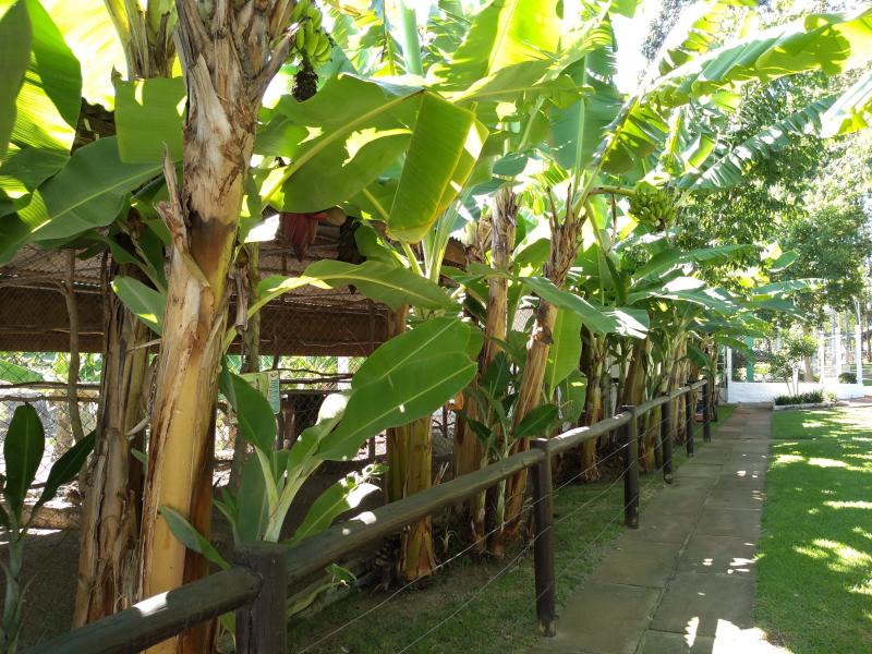 Sítio de Laser 4 Estações