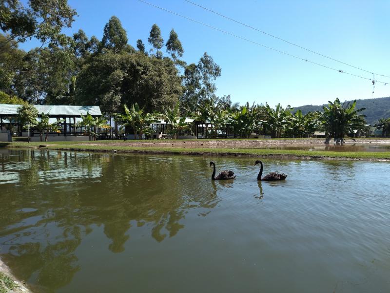 Sítio de Laser 4 Estações